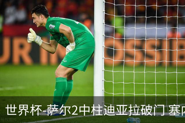 世界杯-萨尔2中柱迪亚拉破门 塞内加尔半场暂1-0比利时