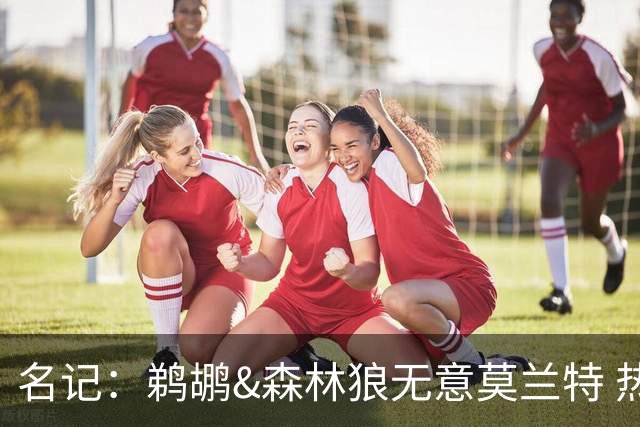 名记：鹈鹕&森林狼无意莫兰特 热火也不急于尝试其与字母哥的搭档