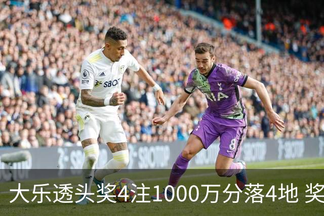 大乐透头奖4注1000万分落4地 奖池余额8.04亿元