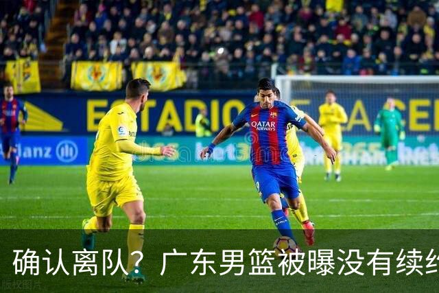 确认离队？广东男篮被曝没有续约杜锋，新主教练人选正式曝光！